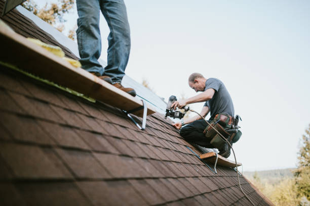 Best Shingle Roofing Installation  in Sublette, KS